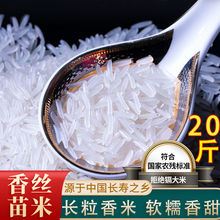 零食香丝苗米长粒香米广西新米猫牙象牙米稻花香五常大米非泰国米