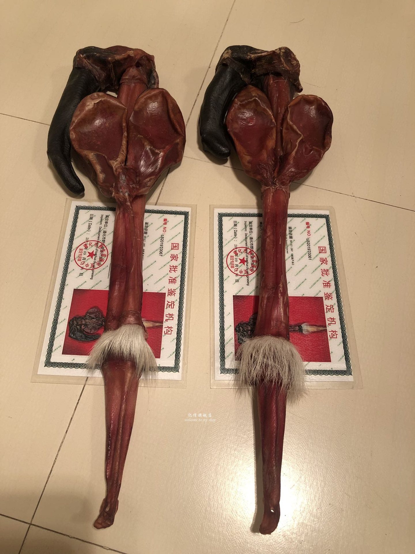 吉林大鹿鞭 带鹿尾鹿鞭 鹿种鞭干鹿鞭-阿里巴巴