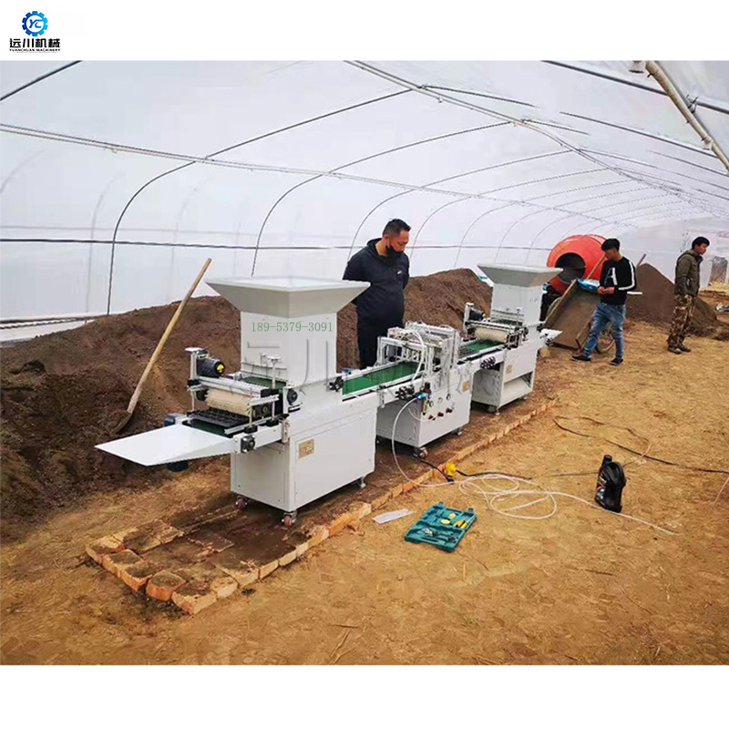 针吸式穴盘播种机 蔬菜花卉树木种子播种机 全自动穴盘育苗播种机