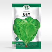 孔雀菜种沙拉生菜种子种籽咖啡菜四季盆栽蔬菜菜种孑菜苗菜籽籽种