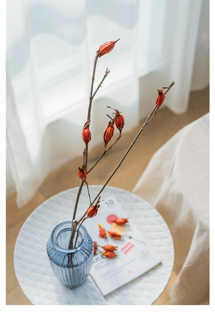 栀子果天然植物果实干花干果家居装饰软装搭配稀缺花材桔色圣诞节