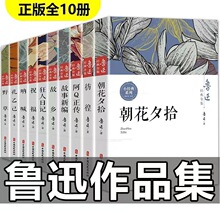 鲁迅全集10册原著六七年级阅读课外书籍阿Q正传呐喊彷徨朝花夕拾