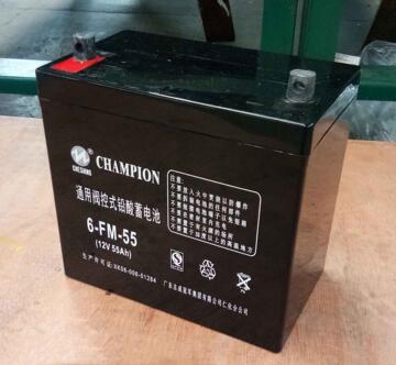 冠军蓄电池np55-12铅酸阀控式12v55ah直流屏ups应急电源储能消防