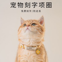 猫牌项圈刻字猫咪小狗狗脖圈围脖铃铛项链幼猫脖子宠物饰品防丢失