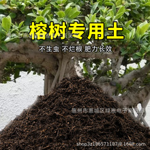 榕树专用土营养土养花通用型家用盆栽泥土壤种植土花土有机肥料