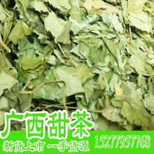 批发广西甜茶 甜茶叶常年大货供应 甜茶叶一手货源