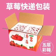 冬草莓快递包装盒小番茄圣女果水果3斤包装枇杷礼盒子泡沫箱