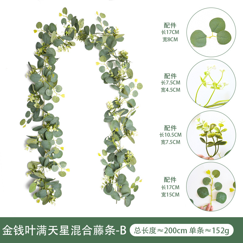 Spring New Starry Eucalyptus Zamioculcas Leaves Vine round Apple Leaf Simulation Plant Emulational Eucalyptus Rattan