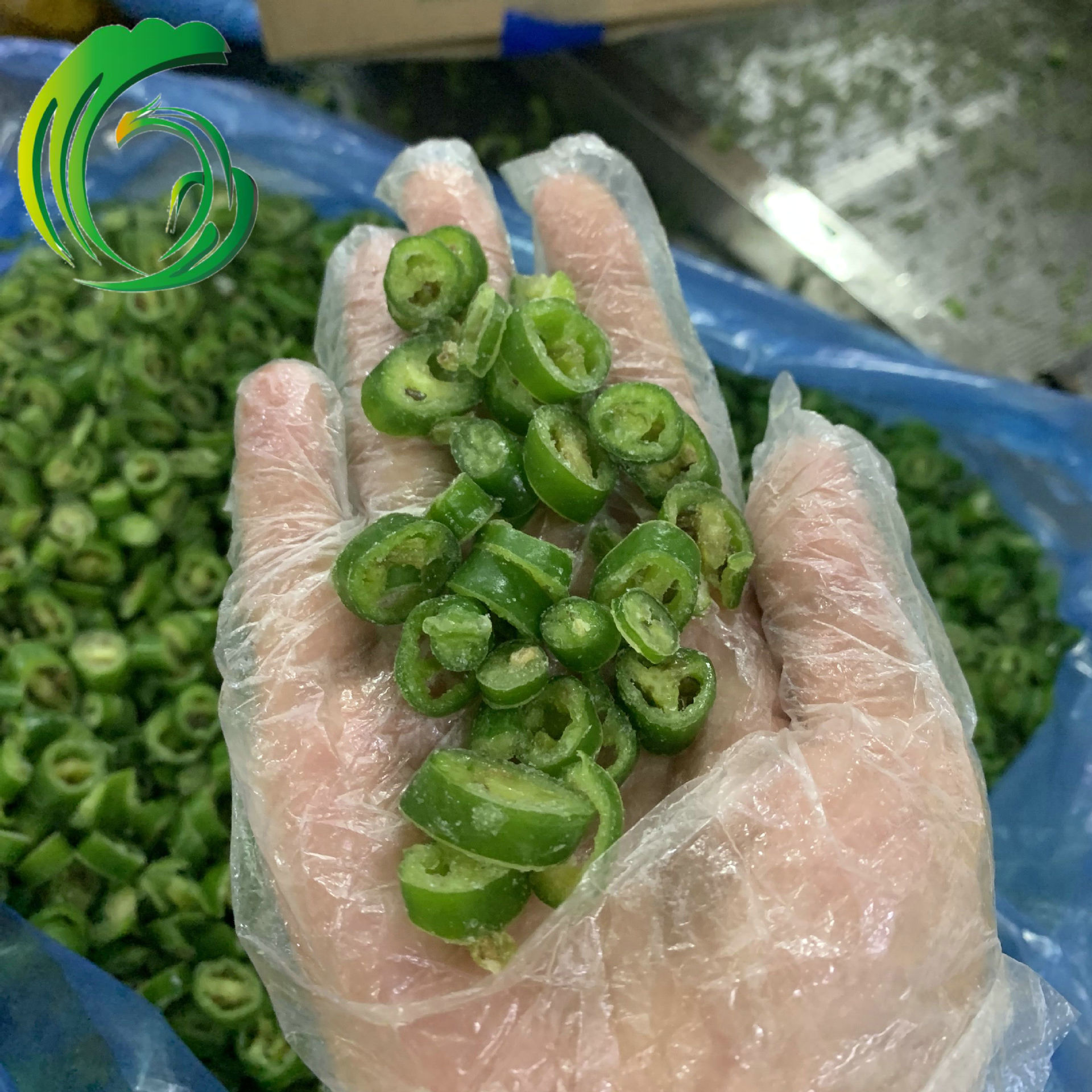 2021 冷冻青阳椒圈 5-7mm 工厂直供 山东产地 出口韩国 haccp认证