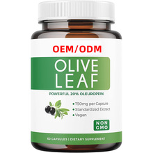 跨境供应 橄榄叶提取物Olive Leaf Extract (非转基因)超强 750mg