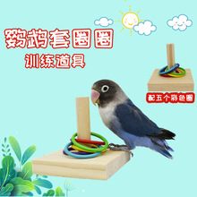 鹦鹉套圈玩具小鸟用品智力开发道具松木彩色投圈虎皮玄凤训练用具