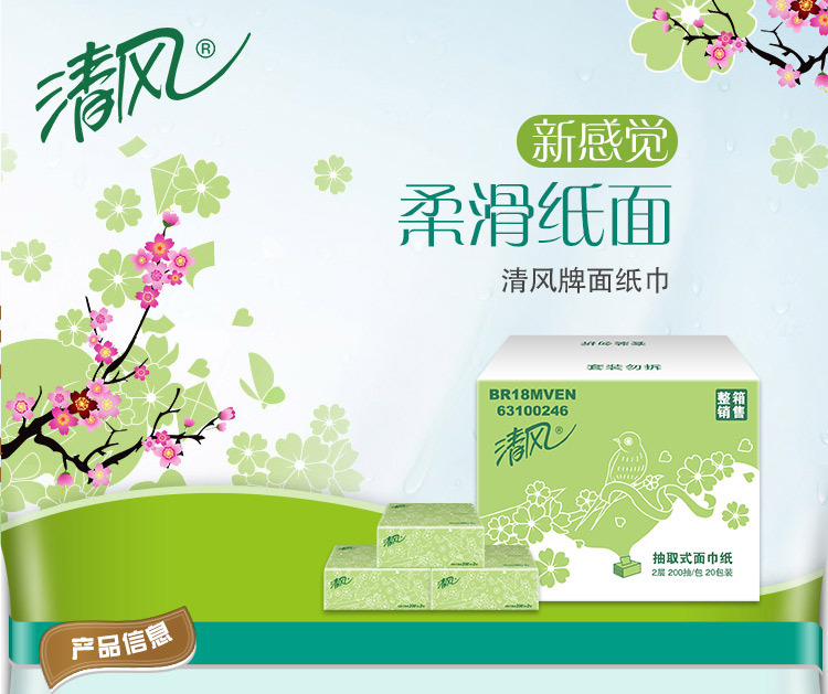 Fresh Wind Paper Extraction Light Green Flower 2 Layers 200 Sheets 20 Packs Facial Tissue Full Box Wholesale Household Office Paper Br18mven