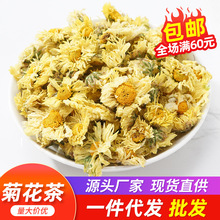 厂家直销批发散装单朵胎 菊桐乡杭白 菊 花 果 茶500g菊 花 茶