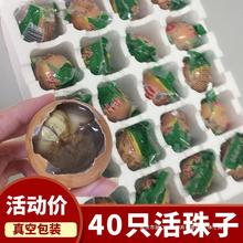 扬州特产40只活珠子13天熟鸡宝鸡胚蛋非毛鸡蛋旺鸡蛋真空包装即食