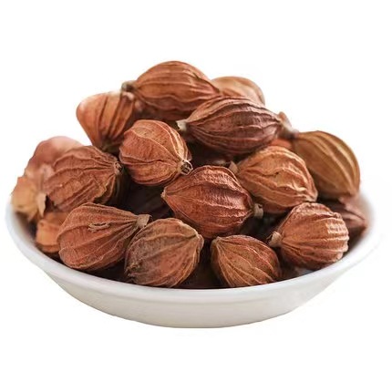 批发香砂500g云南香砂仁四川香沙调味香料干货非中药材开口香砂仁