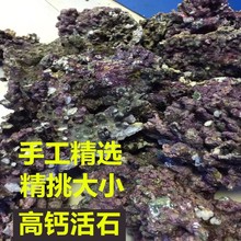 免爆藻石活石新鲜高钙深海片状海水过滤鱼缸珊瑚缸多孔生物造景石