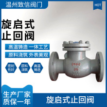 旋启式止回阀 铸钢不锈钢 H44W/H/Y-16/25/40/64/100C/P单向阀DN