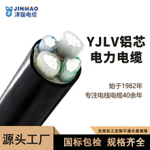 国标YJLV铝芯电缆3+1芯3+2芯厂家批发津猫4芯4+1芯低压电力电缆线