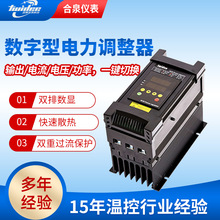 TS型电力调整器双排数显数字电力调整器SCR相位直流大功率调节器