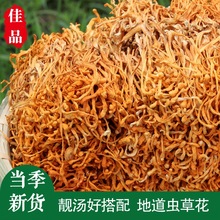 虫草花干货500g金虫草蛹虫草孢子头煲粥煲汤无硫滋补食材一斤