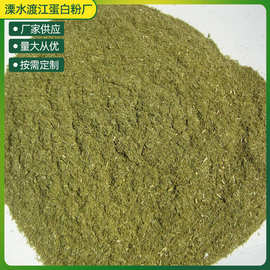 供应饲料级松针粉家禽饲料级鸡鸭猪牛羊松针粉批发