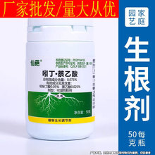 仙葩吲丁萘乙酸生根粉植物通用壮苗剂树木花卉发根移栽扦插