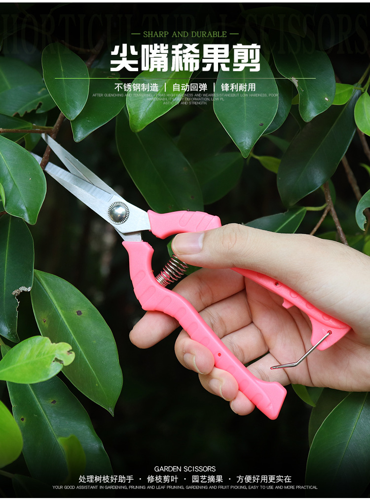 林太作摘果剪不锈钢稀果剪葡萄花椒采摘剪园艺修枝芽采茶工具剪刀