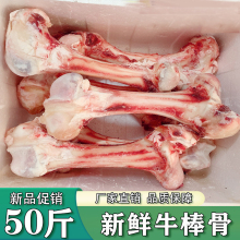 新鲜冷冻牛棒骨 牛筒骨 牛腿骨 牛骨头50斤商用牛骨髓 熬汤食材