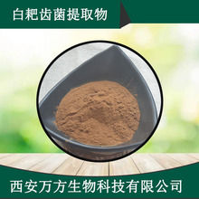 白耙齿菌提取物10:1白耙齿菌多糖万方现货批发白耙齿菌提取物