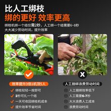 葡萄绑枝卡器豆角架捆扎机西红柿黄瓜绑枝机梆枝农用绑扎器自动