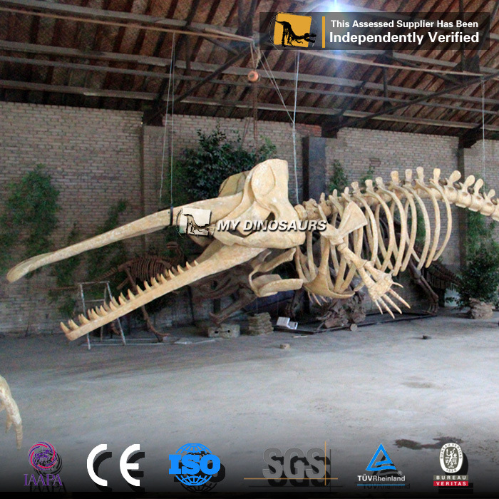 悬挂式仿真鲸鲨鲨鱼化石骨架 商城景区室内橱窗餐厅摆件装饰