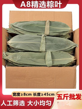 粽叶新鲜粽子叶干大号5斤箬叶特大端午节包粽子专用嘉兴棕叶批发