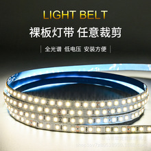 LED2835低压贴片灯带12V24V线条灯120灯180灯室内家装柔性软灯条