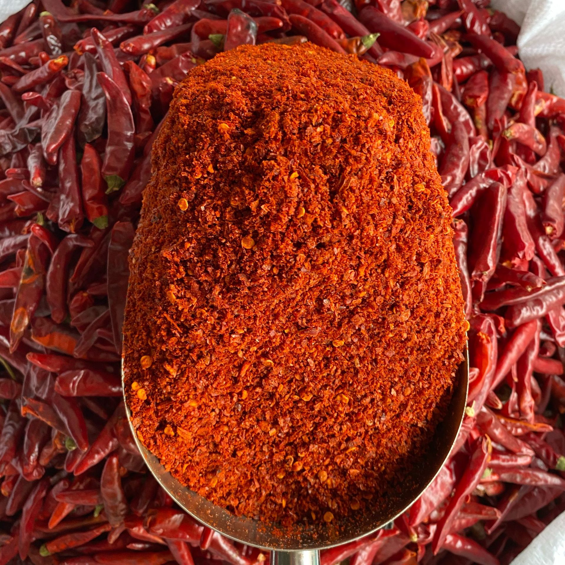 二荆条辣椒面 中辣特香红油辣椒面散装250g油泼辣子海椒面 干碟面