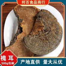 槐耳怀耳中药材正品淮耳槐儿怀儿桑黄梅树菌桑黄菰桑黄菇桑耳桑臣