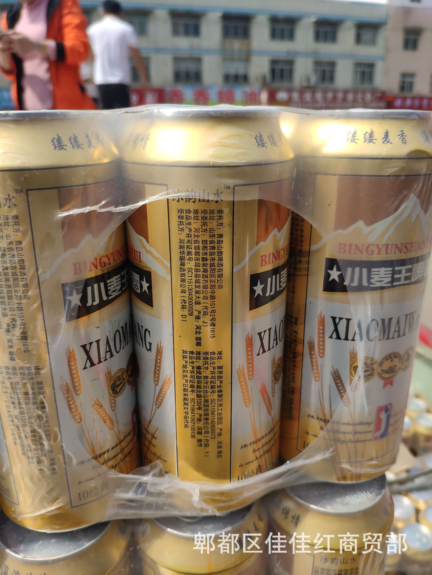 山东青岛纯生小麦王罐装啤酒500ml地摊赶集超市夜宵火锅厂家货源