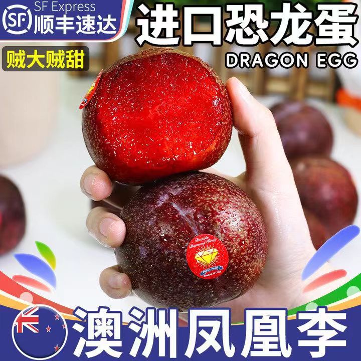 顺丰现货澳洲李子凤凰李进口恐龙蛋智利新鲜水果酸甜多汁一件代发