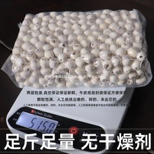 无硫2024洪湖湖北特产壳莲子即食500g磨皮莲子干货去芯白莲子新去