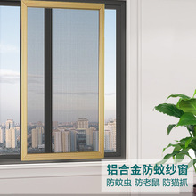 推拉式铝合金防蚊防鼠纱窗网家用自装平移不锈钢窗框沙窗门金刚网