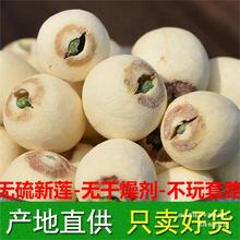 新货带芯白莲子干货500g特产湘潭湘莲子带心磨皮莲子有芯无硫