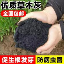 正宗草木灰肥料农家纯有机花肥稻壳炭批发营养土种菜用的天然土壤