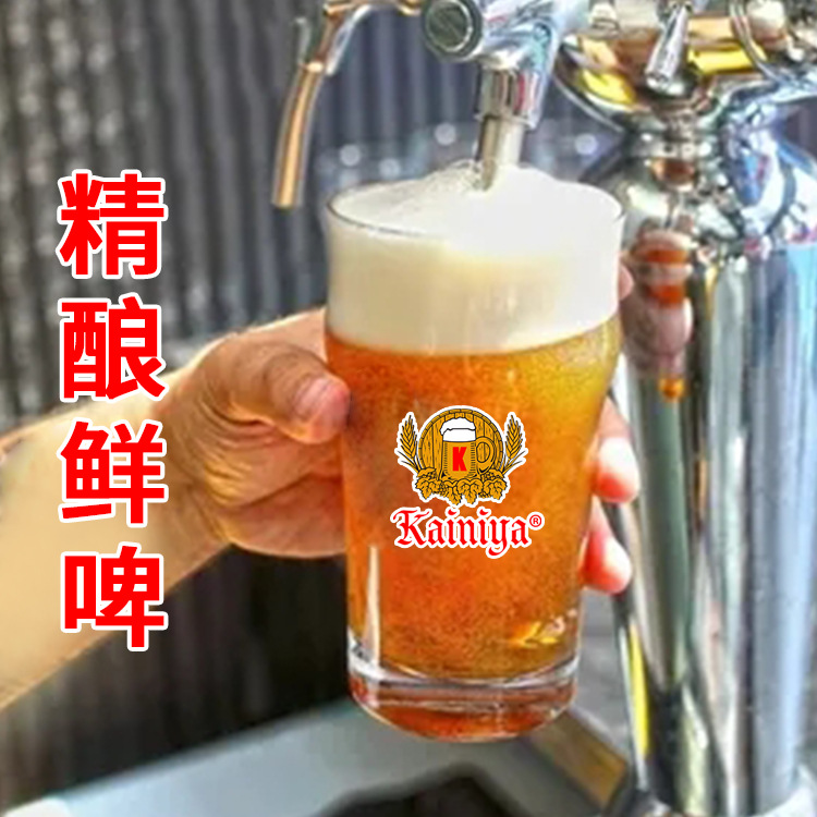 原浆啤酒进货 源头啤酒工厂 kainiya原浆扎啤啤酒供货 大桶啤酒货