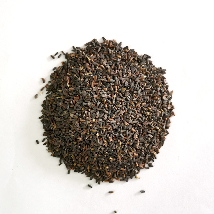 日光菊种子赛菊芋种籽庭院春秋播耐寒多年生花草园艺绿植花海盆栽