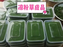 凉粉草叶新鲜草粿草潮汕果冻仙草干草仙草冻草凉粉草干烧仙草原料