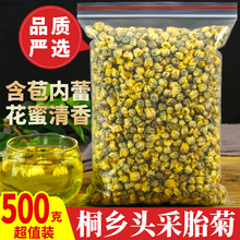 菊花茶 胎菊桐乡杭白菊特级500g包邮抗白菊花茶小胎菊中药材店铺