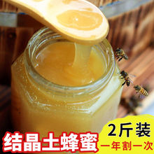 包邮【买1送1】秦岭土蜂蜜土法割蜜野生天然农家自产纯蜂蜜成
