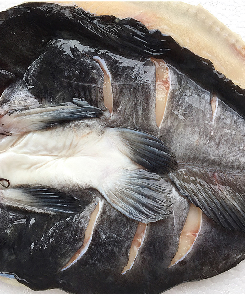 开背清江鱼10条腌制调味2斤一条鮰鱼冷冻半成品烤鱼商用食材 免洗