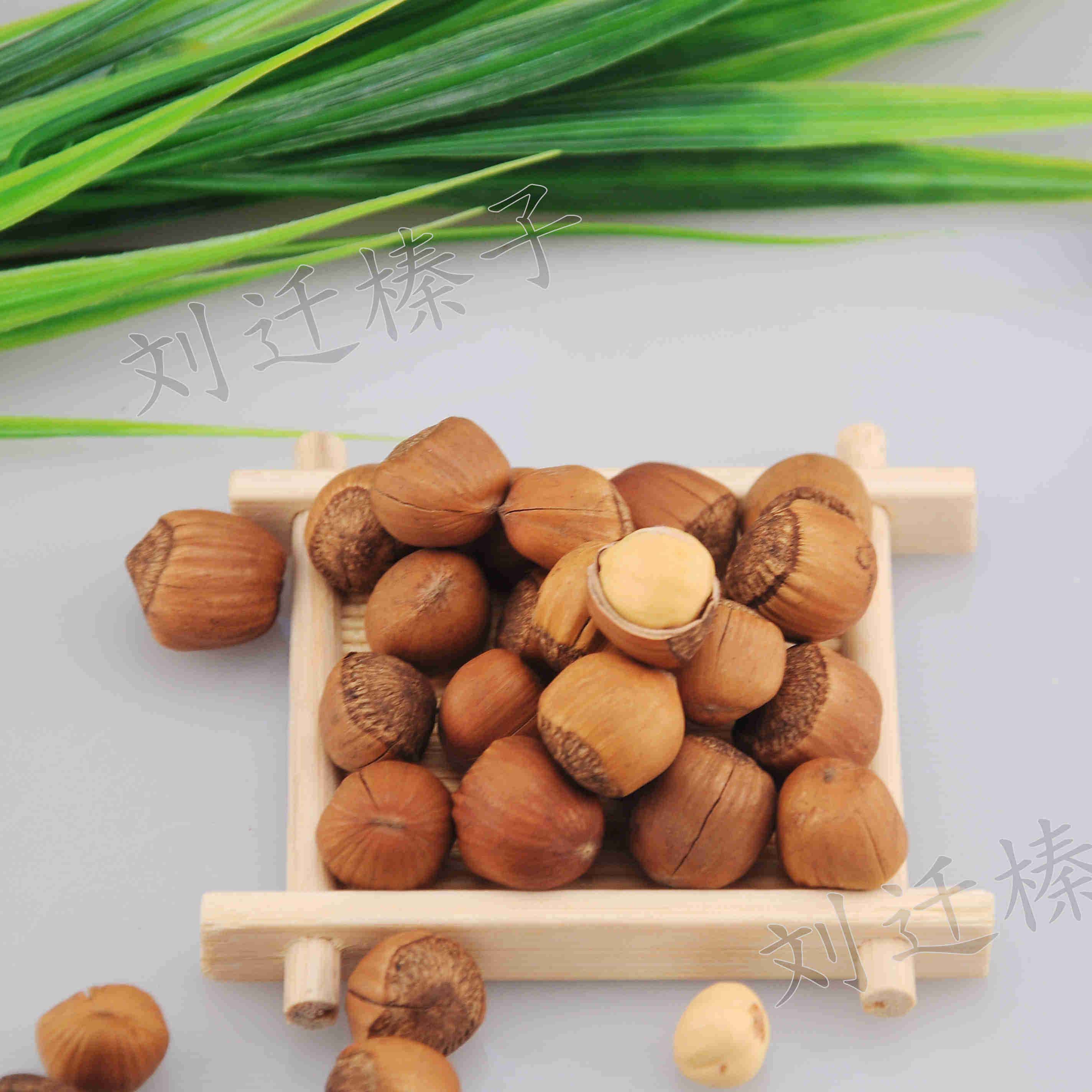 铁岭刘迁榛子新货特a级东北野生山榛子手拍榛子孕妇