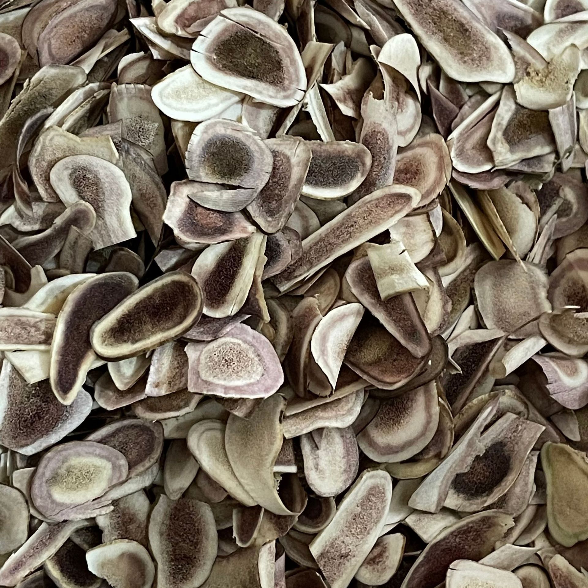 批发中药材 鹿角片 鹿茸片 实物拍摄鹿角片 免费打粉