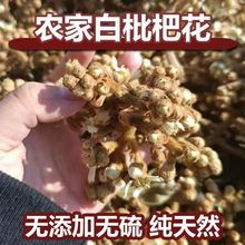 枇杷花琵琶花干花蕾茶枇杷花草润养喉塘栖白枇杷花